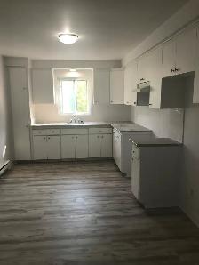 4 1/2 renove Lomgueuil - Photo 2