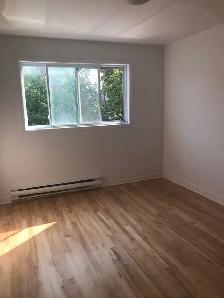 4 1/2 renove Lomgueuil - Photo 4
