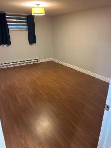 Basement Apartment - Southend - Photo 3
