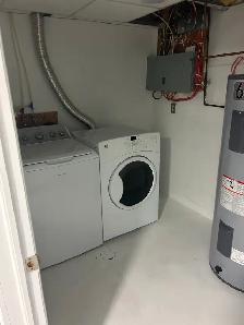 Basement Apartment - Southend - Photo 4