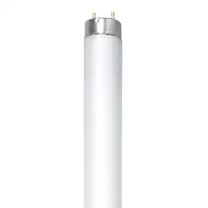 1 FLUORESCENT STANDARD NEUF NEW F32T8/50K/8/RS/G13/STD ESV