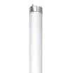 1 FLUORESCENT STANDARD NEUF NEW F32T8/50K/8/RS/G13/STD ESV