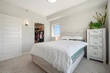 2 Bedroom 2 Bath Bridgwater Penthouse! - Photo 11