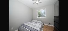 3 Bedrooms, 1 Washroom available for Rent in Cornwall - $2100 - Photo 6
