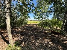 Recreation Land For Sale - Photo 5