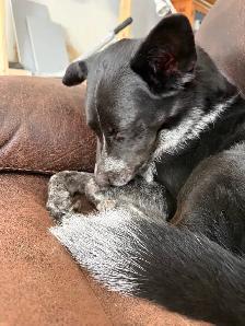 Grooming and More - Photo 10