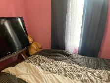 Cheap private spacious room available 600$ furnished - Photo 3