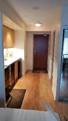 Condo Studio furnished. available any term, Yonge and Sheppard - Photo 3