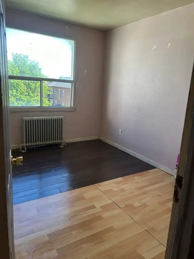 roommate wanted