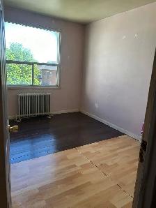 roommate wanted
