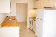 Clean, Comfortable 1 Bedroom Apartment – 1600 Adelaide London - Photo 3