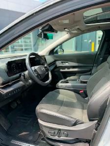 Ariya Platinum  Eforce 2023 - Photo 6