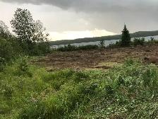 Shebandowan lot 950ft lake frontage - Photo 2