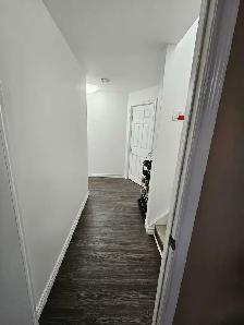 One Bedroom Basement for rent - Photo 2