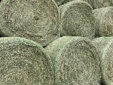 Hay for sale