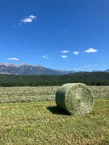 Hay for sale - Photo 3