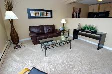 Near the U of S - Beautiful Furnished 1 Bdrm Suite for Rent - Photo 3