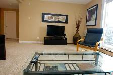 Near the U of S - Beautiful Furnished 1 Bdrm Suite for Rent - Photo 4