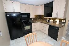 Near the U of S - Beautiful Furnished 1 Bdrm Suite for Rent - Photo 5