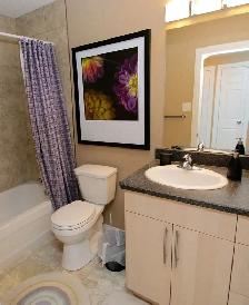 Near the U of S - Beautiful Furnished 1 Bdrm Suite for Rent - Photo 8