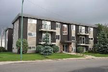 Near the U of S - Beautiful Furnished 1 Bdrm Suite for Rent - Photo 10