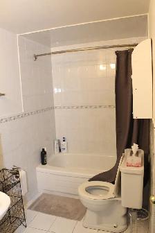 One bedroom basement apartment - Photo 5