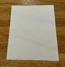 1972 Bobby Hull #9 Winnipeg Jets Portrait - Photo 3