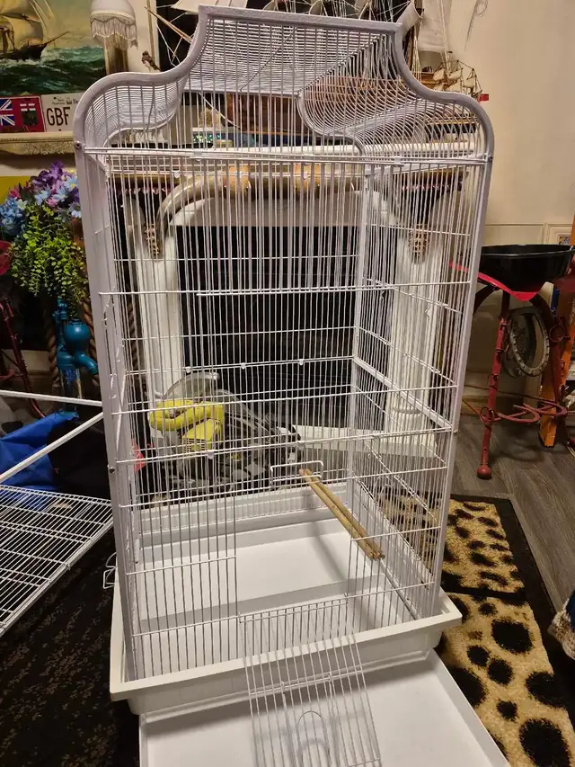 Bird cage