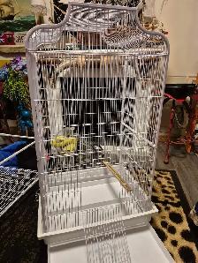 Bird cage
