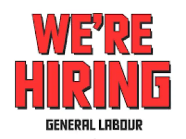 Looking for a general labour in renovation