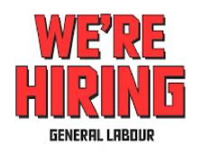 Looking for a general labour in renovation