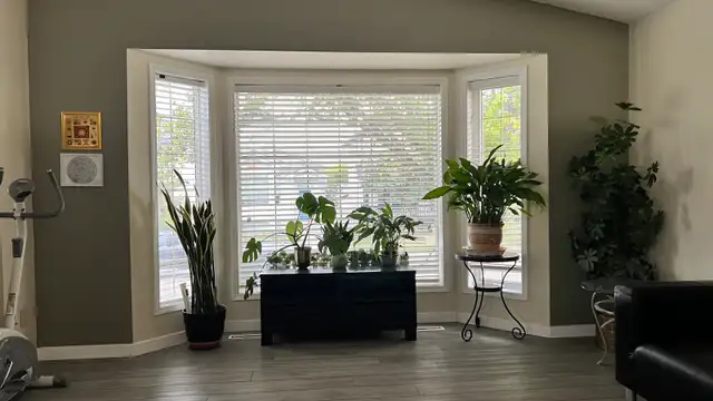 Rooms for Rent Private Rooms Close by Londonderry Mall