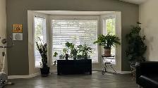 Rooms for Rent Private Rooms Close by Londonderry Mall