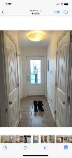 Suite for Rent - Photo 7