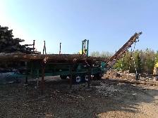 firewood  WOODY