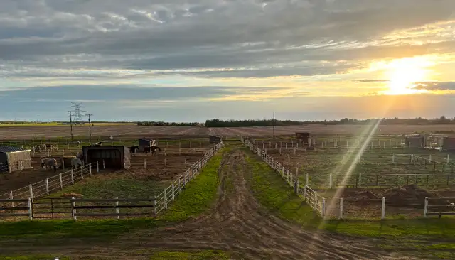 Horse Boarding
