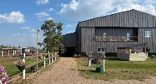 Horse Boarding - Photo 5