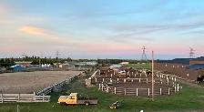 Horse Boarding - Photo 9