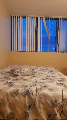 1 Bedroom for Rent $750 Female Student, Adult, or ODSP - Photo 2