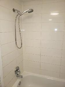 3 1/2 Bachelor for Rent - Photo 8