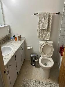 2 beds 2 baths - Apartment - Photo 7
