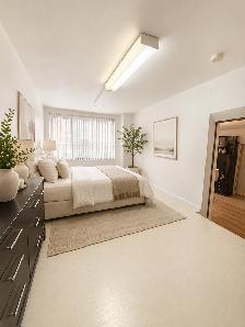 3 Beds 2 Baths - Apartment - Photo 9