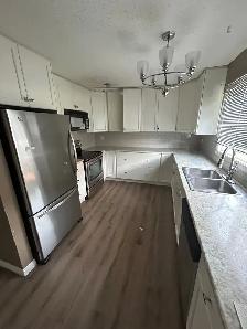 3 Bedroom/3 Baths Townhouse with garage. Newly renovated kitchen - Photo 7