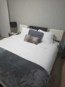 Renting my basement for people to stay in! - Photo 2