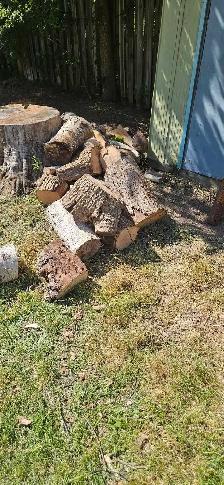 Free Firewood - Photo 2