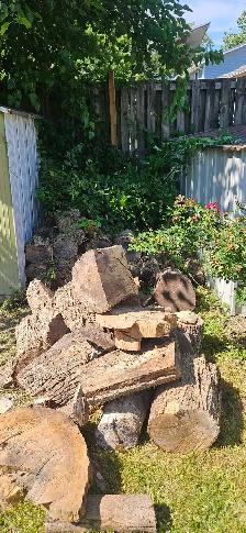 Free Firewood - Photo 3