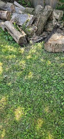 Free Firewood - Photo 4