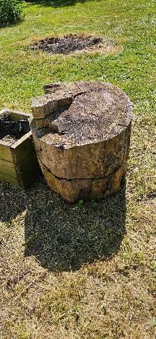 Free Firewood - Photo 5