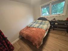 3 Bedroom Single Family House with Fenced Backyard for Rent - Photo 17