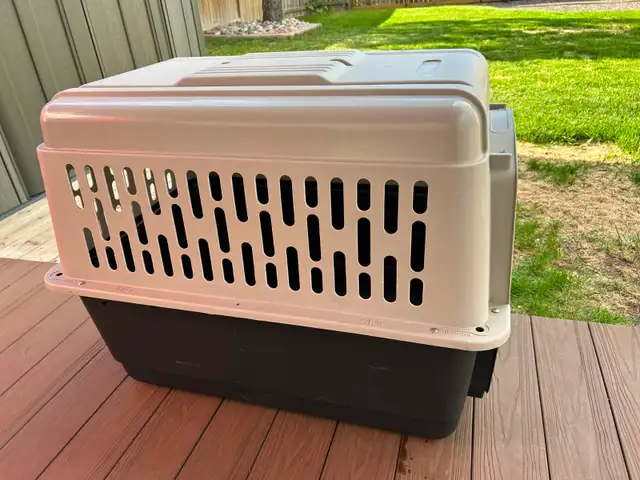 Dog kennel